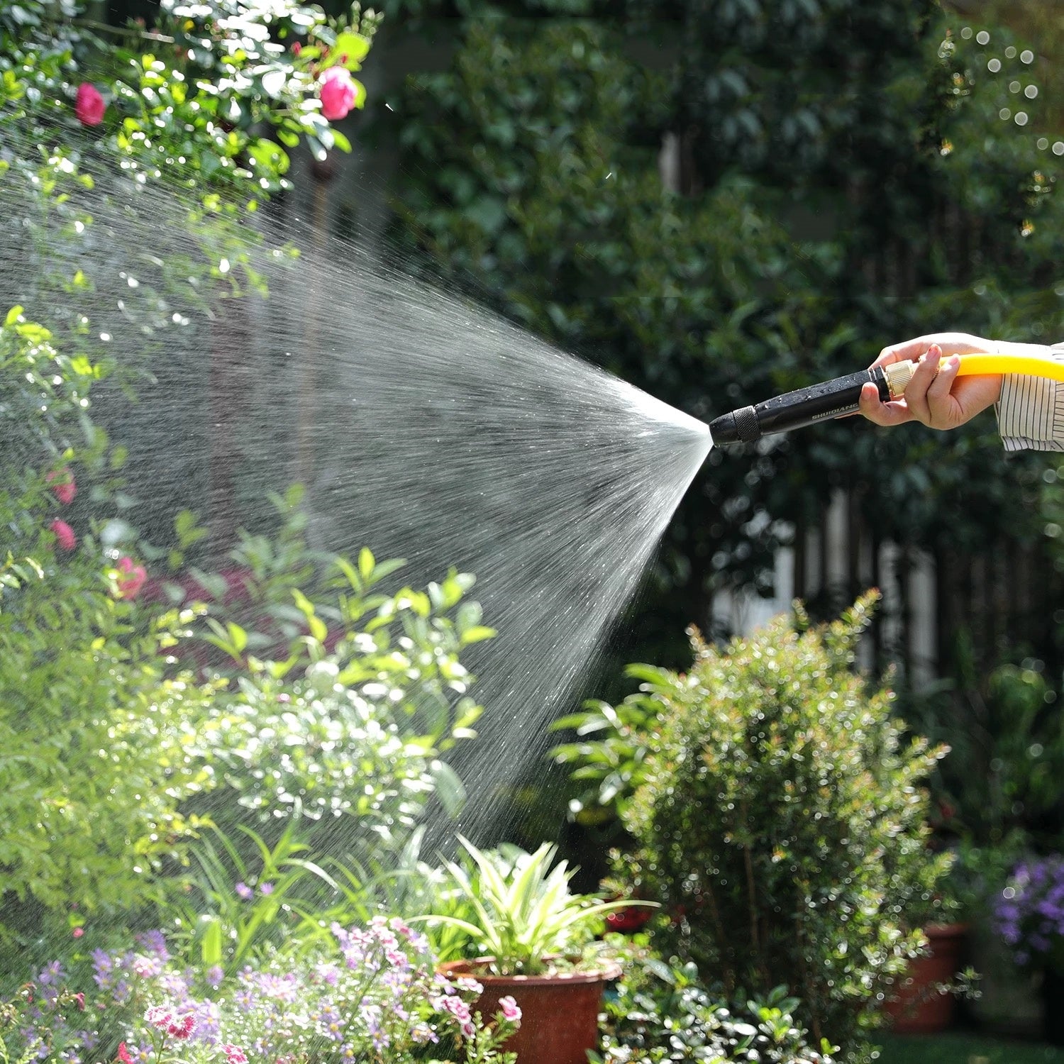 Person watering plants with a garden hose in a garden setting